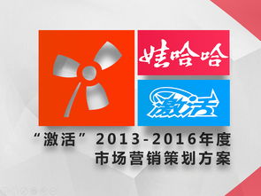 激活品牌新動(dòng)能 娃哈哈2013-2016年度市場(chǎng)營(yíng)銷(xiāo)戰(zhàn)略規(guī)劃