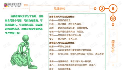 大米姐品牌營(yíng)銷(xiāo)策劃案商業(yè)計(jì)劃書(shū)